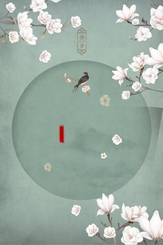 张津瑜吕总视频未删减版